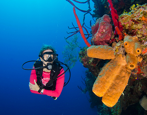 PADI Scuba Diving Course in Grand Cayman with Lobster Pot Dive Center