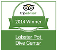 Lobster Pot Dive Center Tripadvisor