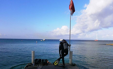 Diving Padi Courses in Grand Cayman