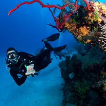 Project AWARE Coral Reef Conservation Course in Grand Cayman
