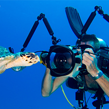 Underwater Photography Dive Course in Grand Cayman